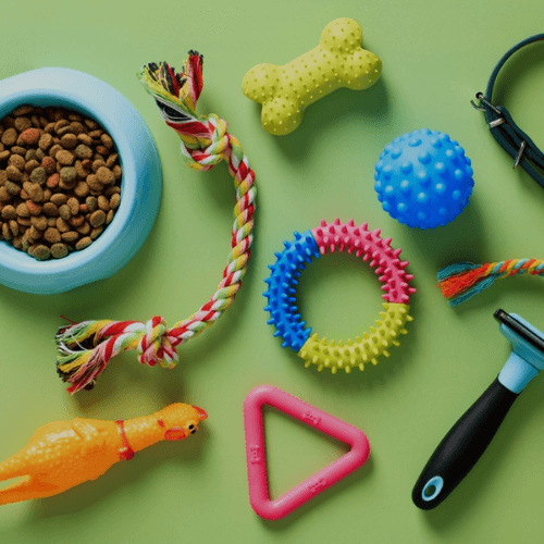 pet supplies on a green background